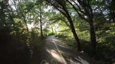 Güneşin yumuşak ışınlarının yeşil yaprakların yemyeşil gölgesinde filtrelediği pitoresk bir parkta huzurlu bir yolculuğa bize katılın. Sakin bir atmosfer bisiklet sürmek için mükemmel.