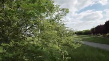 Kendinizi bu çarpıcı parkın sükunetine daldırın, burada verimli ağaçlar ve canlı yeşillikler şehir yaşamının koşuşturma ve koşuşturmasından huzurlu bir kaçış yaratır. Parklar iyi korunmuş yollar.