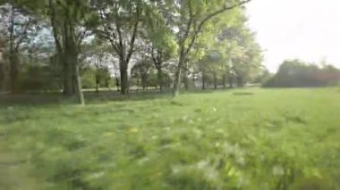 Kendinizi doğanın güzelliğine daldırın. Bu büyüleyici videoyla büyüleyici bir parkta sakin bir şekilde yürüyün. Bereketli yeşil ağaçlar, canlı çiçekler ve sakin bir atmosfer oluşturur.