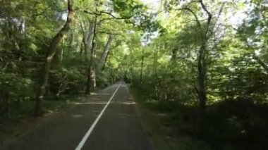 Bu, ağaçlarla kaplı güzel bir parkta bisiklet süren bir bisikletçinin videosu. Bisikletçi, yemyeşil ağaçlarla çevrili asfalt bir yolda ilerliyor. Video, filmin perspektifinden çekilmiştir.