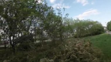 Bu parkta barışçıl bir yürüyüşün videosu. Video, güneşli bir günde parkta yürüyen bir insanın birinci şahıs perspektifi. Park yemyeşil ağaçlar ve güzel otlarla dolu.