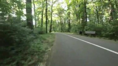 Muhteşem bir parkta sakin bir yolculukta bize katılın. Video, yemyeşil bir parkın içinden geçen bir bisikletçinin birinci şahıs perspektifini içeriyor. Park uzun ağaçlarla doludur.