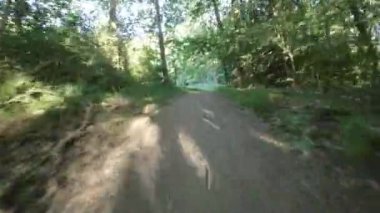 Bu, güzel bir ormanda yapılan bir gezinin POV dağ bisikleti videosu. Video sürücünün perspektifinden çekildi ve ormandaki yemyeşil ağaçları ve bitkileri gösteriyor. Bu video...