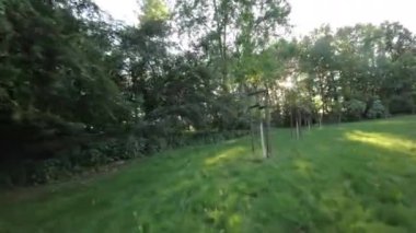 Ağaçların arasından süzülen güneş ışınlarıyla yemyeşil bir ormanda koşan bir koşucunun birinci şahıs perspektifi. Koşucu siyah bir gömlek ve siyah bir şort giyiyor. Orman uzun otlarla dolu.