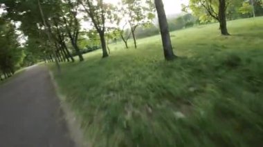 Bu yemyeşil yemyeşil ve huzurlu bir nehri olan bir parkın havadan görünüşü. Park bir banliyö bölgesinde yer almaktadır ve ağaçlar, çalılar ve çiçeklerle çevrilidir. Parkta akan bir nehir ekliyor.