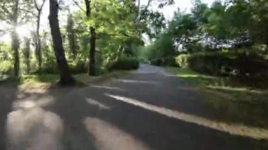 Bir bisikletçiye katılıp çarpıcı bir parkta büyüleyici bir yolculuğa çıkarken kendinizi doğanın sükunetine daldırın. Video büyüleyici bir görsel tedavi sunuyor. Yeşillik, yemyeşil ağaçlar