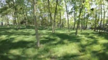 Video, güneşli bir günde parkta yürüyen bir insanın birinci şahıs perspektifi. Park yemyeşil ağaçlar ve çimlerle dolu. Yürüyen ve bisiklete binen birkaç kişi var.