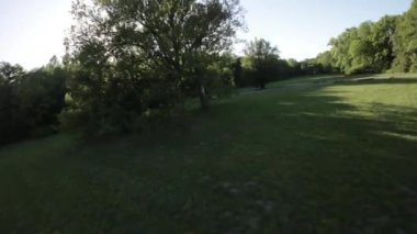 Bu, ağaçlı yemyeşil bir parkın 4K hava görüntüsü. Video kuş bakışı görüntüden çekildi ve parkın tüm güzelliğini gösteriyor. Ağaçlar uzun ve gür, çimenler de canlı.