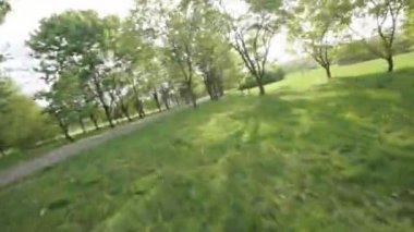 Kendinizi büyüleyici videomuzla doğanın büyüleyici güzelliğine daldırın. Yeşillik ve huzur yollarının bir huzur cenneti yarattığı çarpıcı bir parkta huzurlu bir yolculuğa bize katılın.