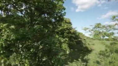 Huzur dolu bir parkın bu büyüleyici videosuyla kendinizi doğanın sükunetine bırakın. Bereketli yeşil ağaçlar ve canlı çiçekler sakin bir yürüyüş için pitoresk bir ortam yaratır. Hisset...