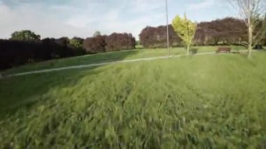 Canlı yeşil ağaçlarla, yemyeşil çayırlarla ve büyüleyici park banklarıyla dolu pitoresk bir parkta heyecanlı bir yolculuk yapan patenciler..