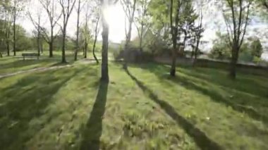 Güneşli bir günde parkta yürüyüşün birinci şahıs bakış açısı videosu. Video geniş açılı mercekle çekiliyor ve parkın panoramik görüntüsünü veriyor. Park yemyeşil ağaçlarla dolu, çimenli.