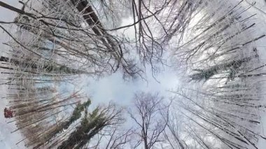 Bu video sizi karlı bir ormana doğru bir yolculuğa çıkarıyor, ağaçların arasından baktığınızda eşsiz bir perspektif sunuyor. Video tam 360 derece, bu da size ormanı görme imkanı veriyor.