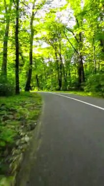 Bir bisikletçinin perspektifinden çekilmiş bu büyüleyici videoyla kendinizi doğanın sükunetine daldırın. Yeşillik ağaçlar ve yemyeşil alanlar huzurlu bir atmosfer yaratır.