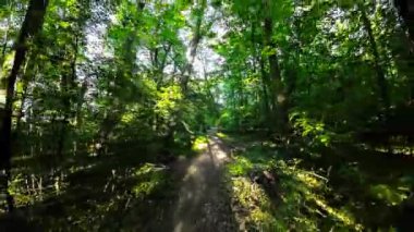 Bu canlandırıcı dağ bisikleti videosu sizi yemyeşil bir ormanda yolculuğa çıkarıyor. Kamera motorcunun kaskına monte edilir, size sürüş hakkında birinci şahıs bakış açısı verir. Sen...