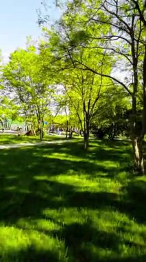 Polonya 'nın O direğindeki pitoresk parkta bir gezintiye çıkın ve gizli mücevherlerini keşfedin. Bu video, günlük hayatın telaş ve koşuşturmasından huzurlu bir kaçış sunuyor.