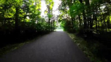 Kendini doğanın sükunetine, yemyeşil bir ormanda bisiklet sürüşünün bu büyüleyici videosuyla batır. Güneş ışığı yoğun yaprakların arasından süzülerek büyülü bir şey yaratır.