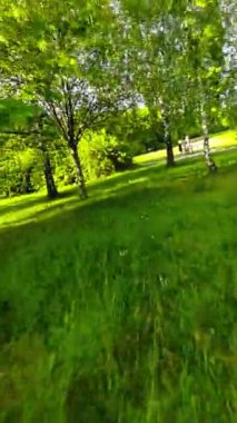 Bu, parkta sakin bir yürüyüşün videosu. Video, parkta yürüyen bir kişinin perspektifinden çekildi. Park yemyeşil ağaçlar, çimenlik alanlar ve çeşitli çeşitliliklerle dolu.
