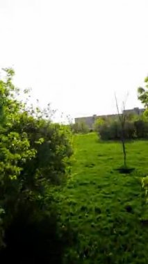 Bu video sizi bereketli ve canlı Opole Şehir Parkı 'na götürüyor. Şehrin göbeğindeki gerçek bir yeşil vaha. Park, yerli halk ve turistler için oldukça popüler bir yer.