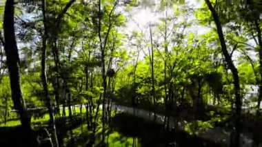 Bu büyüleyici videoda kendinizi Opole City Park 'ın yemyeşil sularına daldırın. Parkların sakin atmosferi sakin bir gezinti için mükemmeldir. Bu da hareketlilikten huzurlu bir kaçış sağlar.