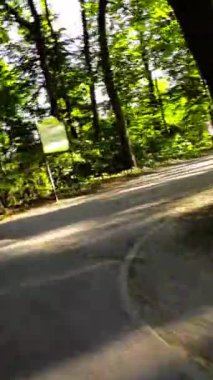 Bu parkta barışçıl bir yürüyüşün videosu. Video, parklarda asfalt yolda yürüyen bir kişinin perspektifinden çekildi. Park yemyeşil yemyeşil, bir sürü farklı şeyle dolu.