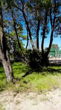 Huzur dolu bir parkın bu büyüleyici videosuyla kendinizi doğanın sükunetine bırakın. Bereketli yeşil ağaçlar, canlı çiçekler ve sakin atmosfer mükemmel bir manzara ortamı yaratır.