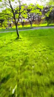 Bu parktaki yürüyüşün rahatlatıcı bir görüntüsü. Yeşiller yemyeşil çimenler odak noktasında, arka planda ağaçlar ve çalılar var. Video rahatlatıcı ve keyifli, ve gevşemek için mükemmel.