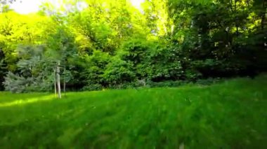 Video, yemyeşil bir ormanın huzurlu bir sahnesiyle başlıyor. Kamera ormanın içinden geçen bir araca monte edilmiş, ve güneş parlıyor, ağaçların üzerine sıcak bir parıltı saçıyor ve