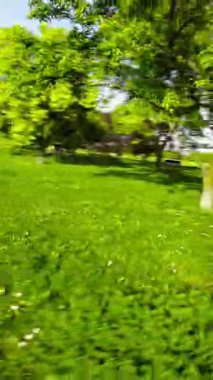 Kendini doğanın sükunetine bırak. Bu büyüleyici park videosu tam çiçeklenme halinde. Bereketli yeşil ağaçlar ve canlı çiçekler dinlenmek için mükemmel bir atmosfer yaratır.