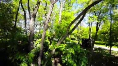 Opole, Polonya 'da güzel bir yeşil park. Park yemyeşil ağaçlar, yeşil çimenler ve renkli çiçeklerle dolu. Park boyunca esen bir yürüyüş yolu var, ve orada birkaç bank var.