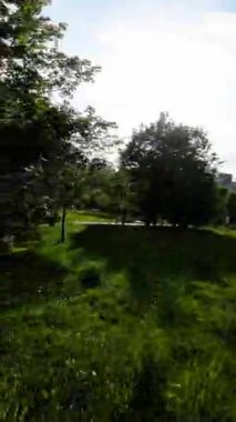 Bereketli yeşil çimlerle, yükselen ağaçlarla ve çiçek açan çiçeklerle dolu sakin bir park huzurlu bir paten seansı için uygun bir ortam. Güneş ışıl ışıl parlıyor, sıcak ve davetkar bir parıltı yayıyor