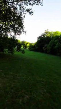 Kendinizi doğanın sükunetine bu büyüleyici videoyla daldırın, sizi huzurlu bir parkta gezintiye çıkarır. Bereketli yeşil ağaçlar, canlı çiçekler ve sakin bir atmosfer.