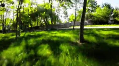 Huzur dolu bir parkın bu büyüleyici videosuyla kendinizi doğanın sükunetine bırakın. Bereketli yeşil ağaçlar, canlı çiçekler ve sakin bir gölet taşıma için pitoresk bir ortam yaratır.