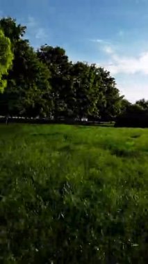 Sizi güzel bir parkta huzurlu bir yolculuğa çıkaran bu büyüleyici videoyla kendinizi doğanın sakinliğine daldırın. Kameranın yemyeşil tarlaları taramasını izleyin.