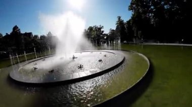 Video, Polonya 'nın Opole kentindeki bir çeşmeyi gösteriyor. Çeşme bir parkta yer alır ve ağaçlar ve otlarla çevrilidir. Çeşmedeki su yeşil ve çeşme de yeşil.