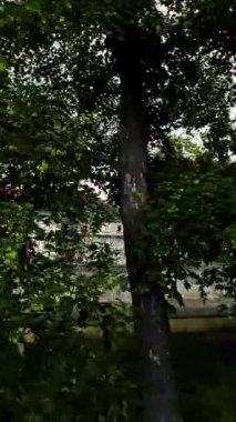 Budapeşte, Macaristan zıtlıkların şehri. Doğu ve Batı 'nın, geleneklerin ve modernliğin eski ve yeni şehridir. Bu video Budapeşte 'nin birçok yüzünü, tarihi binalarından ve