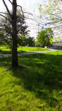 Huzur dolu bir parkın bu büyüleyici videosuyla kendinizi doğanın sükunetine bırakın. Bereketli yeşil ağaçlar, canlı çiçekler ve sakin atmosfer mükemmel bir manzara ortamı yaratır.