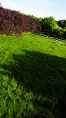 Huzur dolu bir parkın bu büyüleyici videosuyla kendinizi doğanın sükunetine bırakın. Kameranın yemyeşil çayırlarda hareket edişini izleyin, ağaçların ve ağaçların canlı renklerini yakalayın