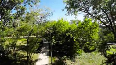Kendinizi doğanın sükunetine bu büyüleyici parkta yürüyüş videosuyla daldırın. Bereketli yeşil ağaçlar, canlı çiçekler ve hafif esinti mükemmel bir atmosfer yaratır.