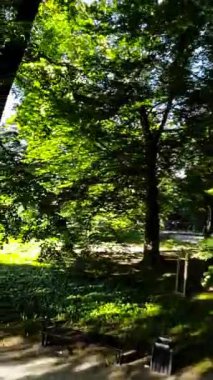 Opoles parkının büyüleyici cazibesine kendinizi kaptırın, doğal tuvallerin canlı renklerle canlandığı yere. Büyüleyici bir yolculukta bize katılın bu şehir vahasında,