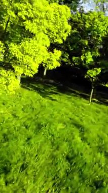 Huzur dolu bir parkın bu büyüleyici videosuyla kendinizi doğanın sükunetine bırakın. Kameranın yemyeşil çayırlarda hareket edişini izleyin, ağaçların ve ağaçların canlı renklerini yakalayın