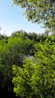 Bu, Opole City ve Oder River 'ın Polonya' daki güzel bir insansız hava aracı videosu. Video güneşli bir günde çekildi ve şehri kuş bakışı olarak gösteriyor. Video çok bilgilendirici ve...