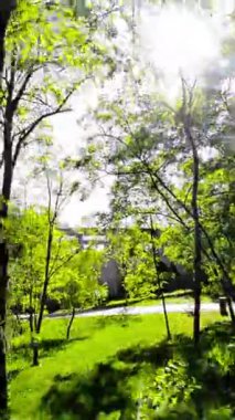 Güzel bir parkın yemyeşil yeşilliğine dalın ve onun dolambaçlı yolları boyunca sakin bir yürüyüş yapın. Güneş ışınları yoğun yaprakların arasından süzülerek benekli bir desen oluşturur.