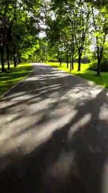 Bu video güzel bir parkta huzurlu bir yürüyüş. Yeşillik ağaçlar, yeşil çimenler ve renkli çiçekler çarpıcı bir görüntü oluşturur. Hafif esinti ve kuş cıvıltısı rahatlatıcı atmosfere ekliyor. Bu...