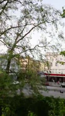 Bu, güzel bir parkta yürüyüşün videosu. Video, parkta yürüyen bir kişinin perspektifinden çekildi. Videoda yemyeşil ağaçlar, renkli çiçekler ve...
