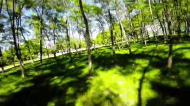 Burası yemyeşil ağaçları, bakımlı çimenleri ve huzurlu bir atmosferi olan güzel bir park. Park rahatlatıcı bir yürüyüş ya da aile ya da arkadaşlarla piknik için mükemmel. Video ilk kez çekiliyor.