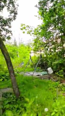 Kendinizi doğanın güzelliğine daldırın bu büyüleyici görüntülü bahçe gezisi videosuyla. Yeşiller yemyeşil çimenler çeşitli renklerde canlı çiçeklerle süslenir.