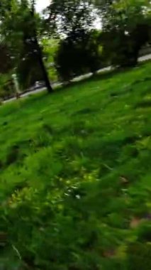 Bu video, şehir parkında paten kaymanın birinci şahıs perspektifi. Park yemyeşil çimlerle dolu ve arka planda ağaçlar ve binalar var. Patenci...