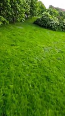 Bu, güzel bir parkta rahatlatıcı bir yürüyüşün videosu. Video, parkta yürüyen bir insanın perspektifinden çekiliyor. Yeşillikleri, güzel çiçekleri yakalıyor.