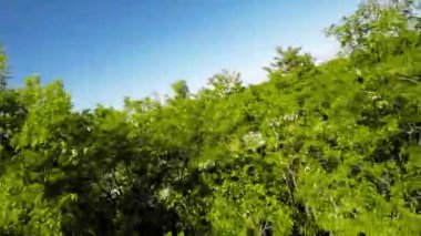 Günlük hayatın telaş ve koşuşturmasına bir ara verin ve kendinizi yeni videomuzla doğanın sükunetine daldırın. Kaçabileceğiniz çarpıcı bir parkta sakin bir yürüyüş için bize katılın.